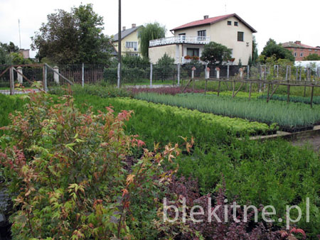 Produkcja kontenerowa 2