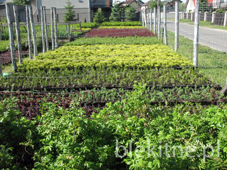 Produkcja kontenerowa 7