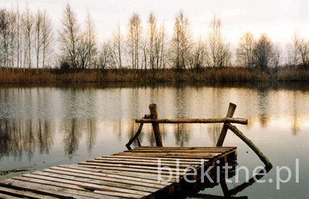 Staw 1