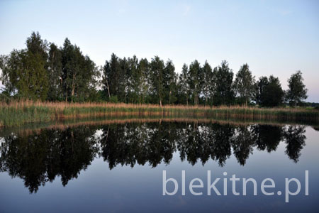 Staw 4